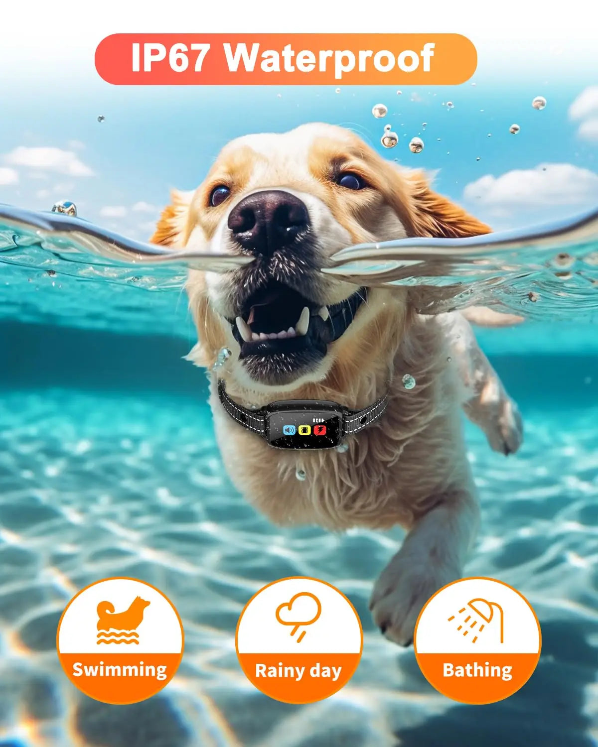 CanineCommand™ Prestige Training Collar