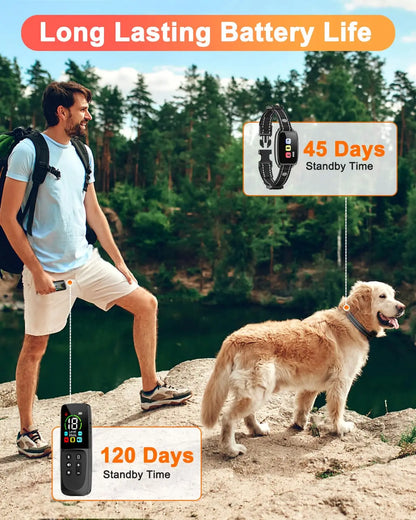 CanineCommand™ Prestige Training Collar