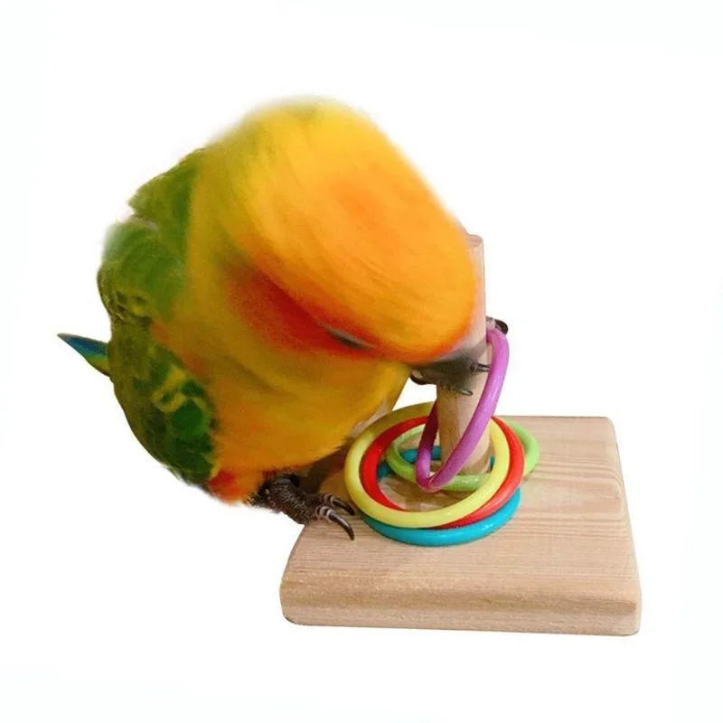 Bird Training Ring Toy™