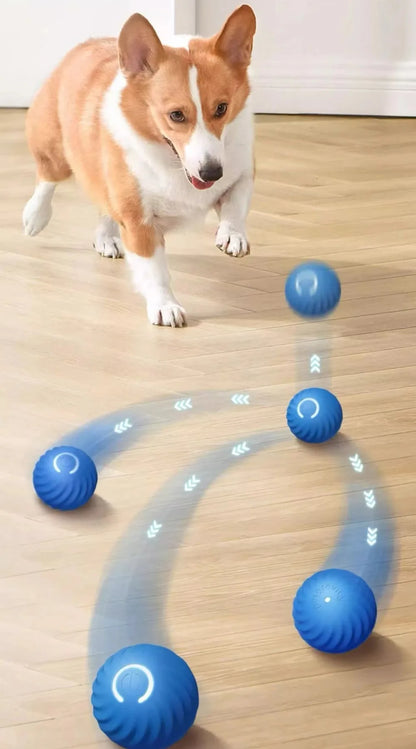 BounceBuddy™ Smart Dog Toy Ball