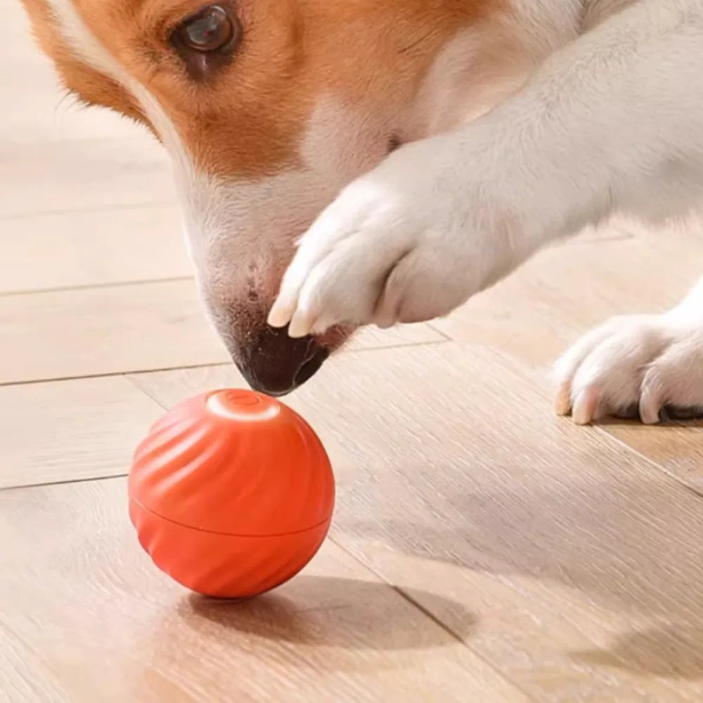 BounceBuddy™ Smart Dog Toy Ball