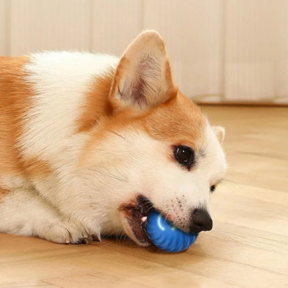 BounceBuddy™ Smart Dog Toy Ball