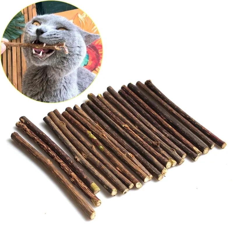 10 Wooden Polygonum Grasping Bite Stick™