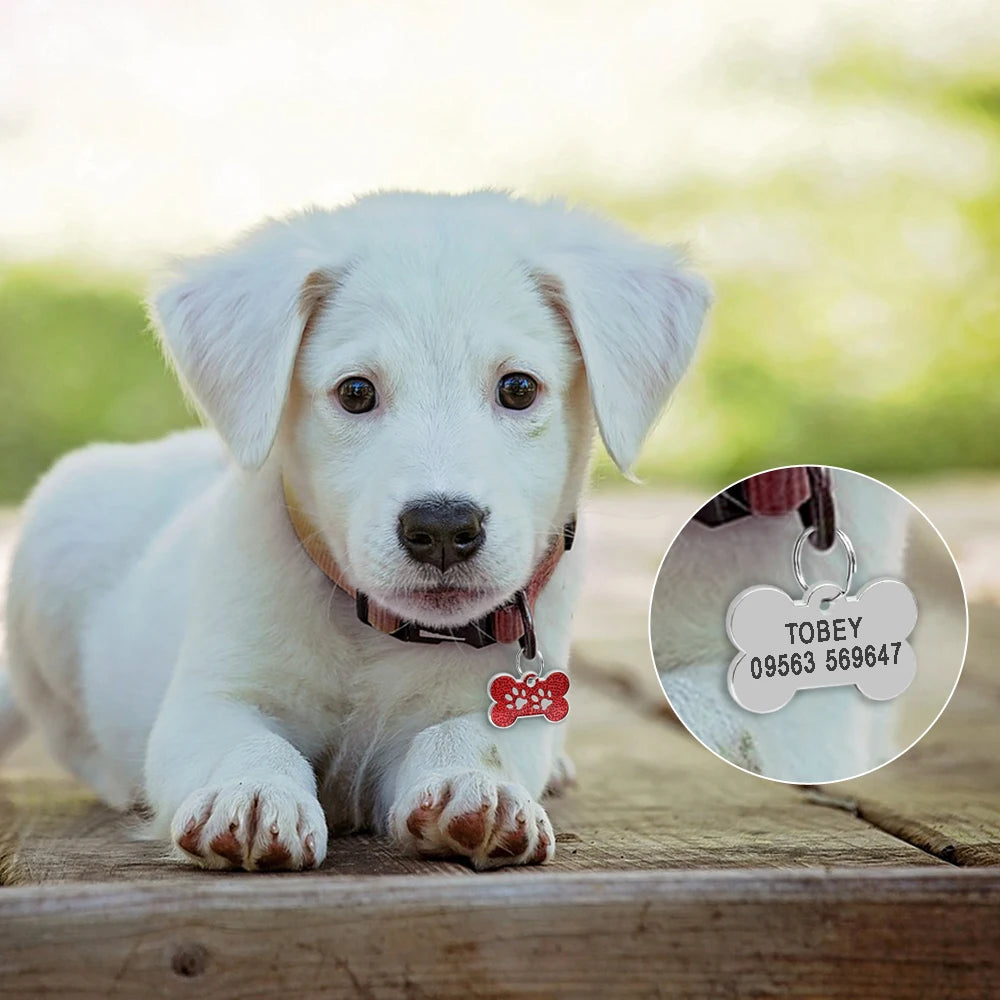 MapleShine™ BlingTag