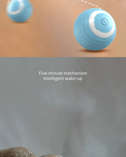 FelinéSphere™ Luxe Interactive Magic Ball