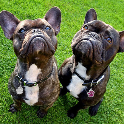 MapleShine™ BlingTag