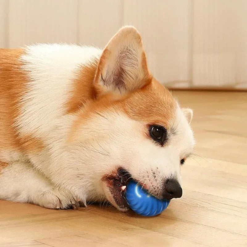 BounceBuddy™ Smart Dog Toy Ball