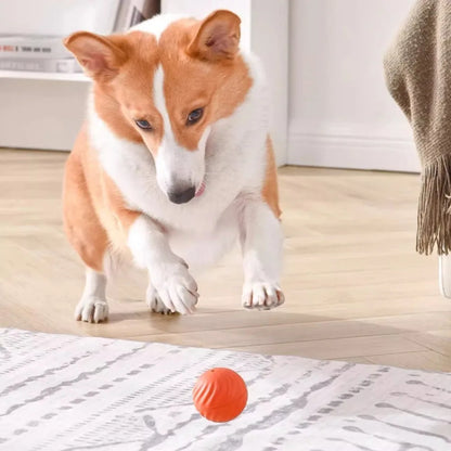 BounceBuddy™ Smart Dog Toy Ball