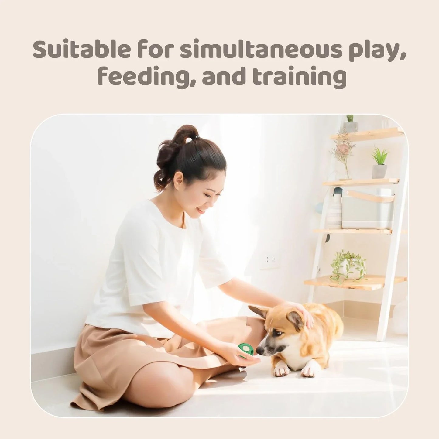 ChillChew by MeowMeows™ – Freezable Rubber Treat Toy & Silicone Mold for Dogs