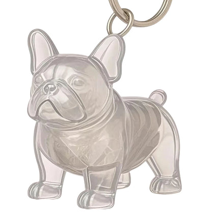 LumiLox™ FurLegacy Capsule – Timeless Tribute in Miniature Elegance