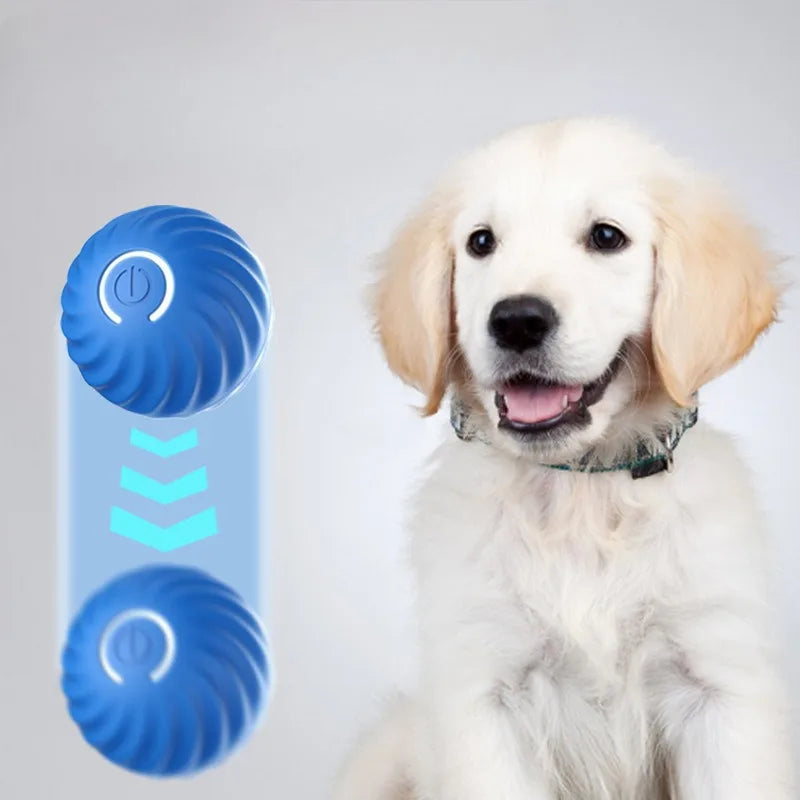 BounceBuddy™ Smart Dog Toy Ball