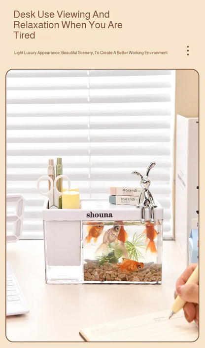 EcoView™ Rectangular Transparent Aquarium for Home & Balcony Decor