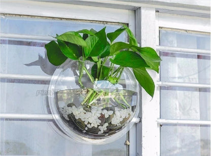 AquaGlow™ Wall-Mounted Acrylic Fish Bowl (2L)