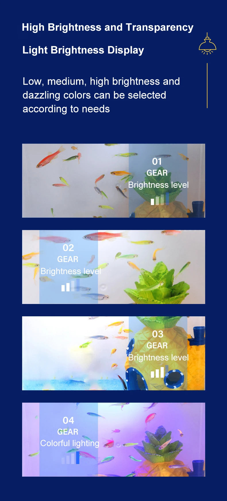 EcoGlow™ Mini Self-Circulating Fish Tank with LED & Back Filter