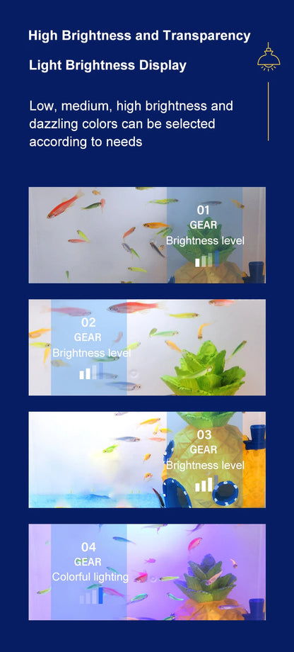 EcoGlow™ Mini Self-Circulating Fish Tank with LED & Back Filter